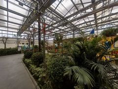 -南宫五洲植物乐园