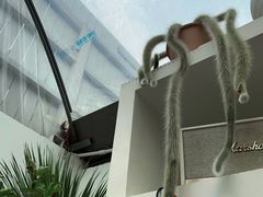 -自由生长植物工作室(深港花卉中心店)