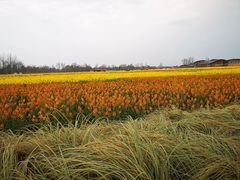 -中国天府农业博览园