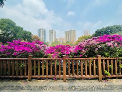 -晓港公园