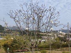 -中国移动南方基地