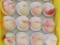 -老袁家蜜桃农场·阳山水蜜桃