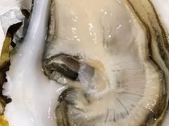 -HIHE Bistro·Oyster Bar(华熙live店)