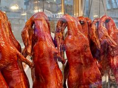 -顺城金记卤鸡·清真