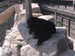 -石家庄市动物园