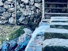 -东天目山风景区