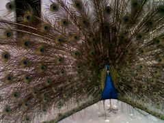 -爆米花量贩式KTV(地王广场D3店)