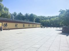 -上海东林寺(金山区)