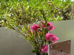 -菲乐餐厅(三十年经营·湖滨路店)