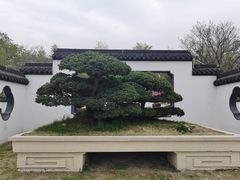 -扬州大运河文化旅游度假区·盆景园