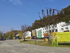 -千年银杏谷文化旅游区