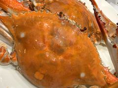 -北塘海鲜·天津菜(大光明桥旗舰店)