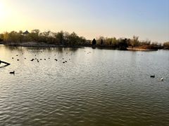 -盐城丹顶鹤湿地生态旅游区