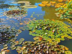 -国家植物园南园