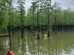 -泗洪洪泽湖湿地景区