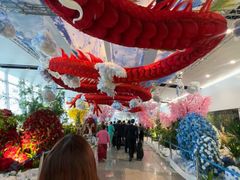 -河内内排国际机场