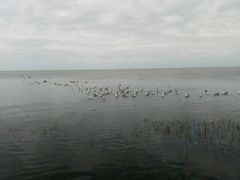 -青海湖仙女湾景区