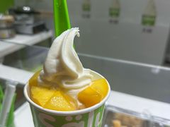 -Salud撒露欧洲冻酸奶(北苑上品店)