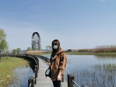-太湖湖滨国家湿地公园-停车场