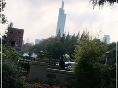 -紫峰大厦