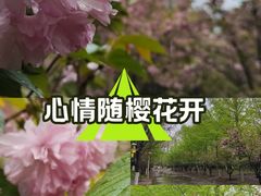 -长白岛森林公园