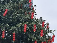 -海心沙亚运公园