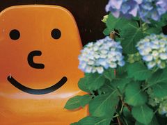 -新月集庭院咖啡馆(老邮局店)