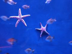 -沈阳海洋探索中心