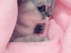 -美美宠物诊疗中心·异宠·骨科(滨江东信分院)