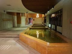 -汉拿山温泉度假酒店