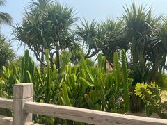 -碧桂园十里银滩