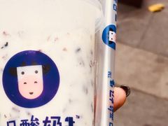 -一只酸奶牛(八一路店)