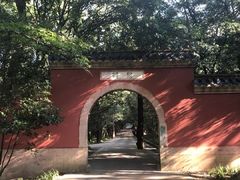 -灵谷景区