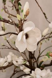 -酉嘉瑜伽YO+YOGA