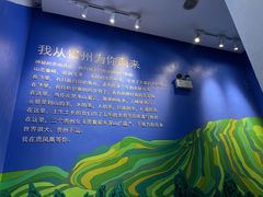 -贵凤凰贵州米粉(望京店)