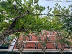 -苹果花园(枫林路店)