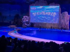 -华夏文旅海洋公园