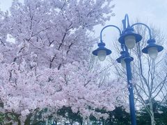-迪士尼小镇