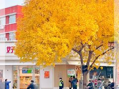-好利来(槐中店)