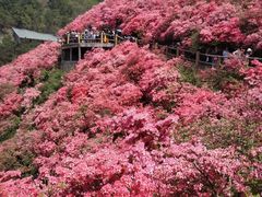 -木兰云雾山