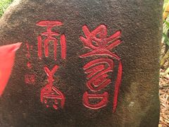 -呀诺达热带雨林