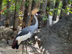 -昆明动物园