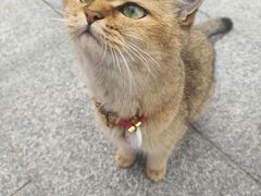 -玻璃桥景区石牛寨