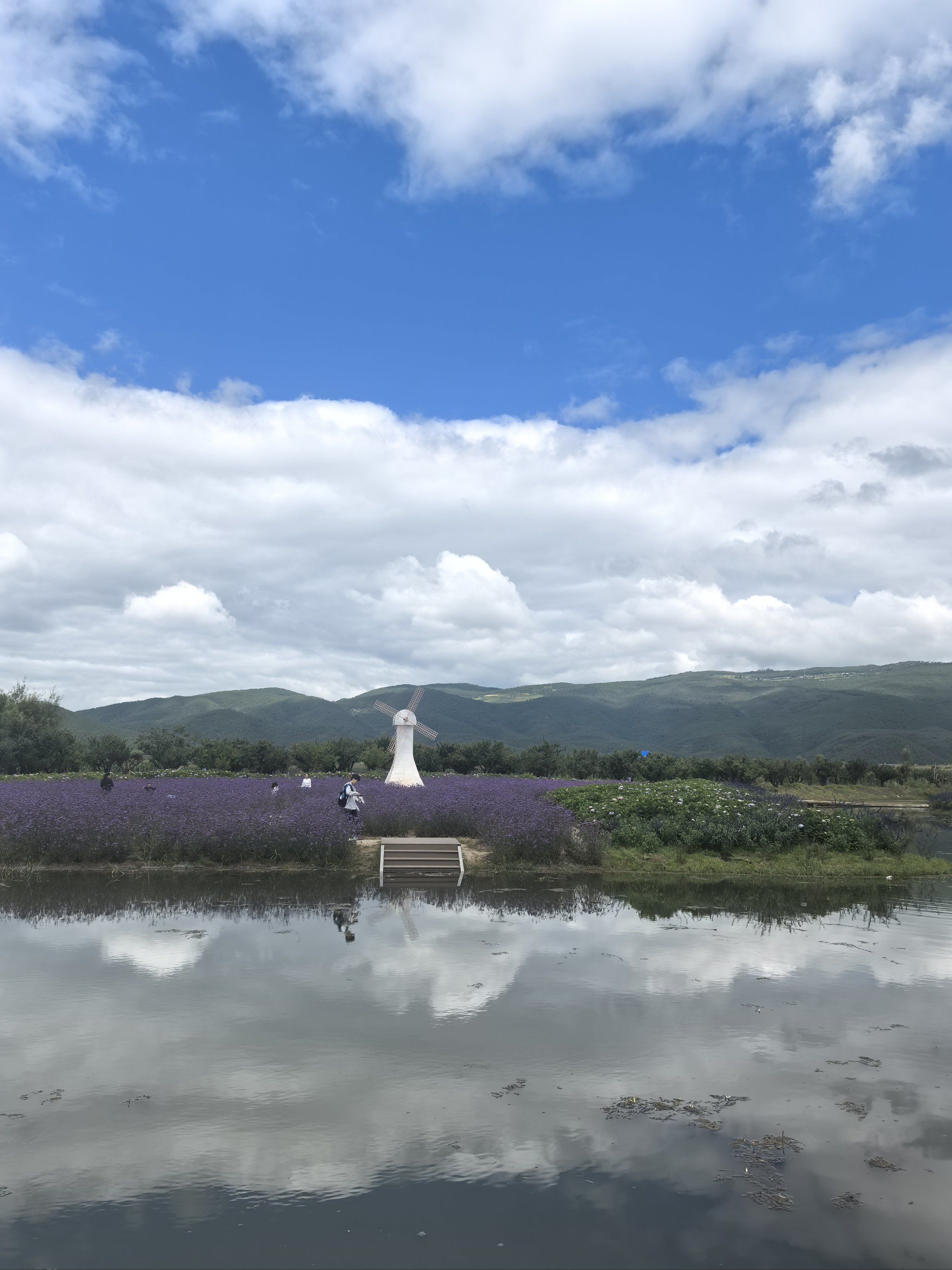 丽江旅行之拉市海候鸟湾