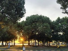 -滆湖低碳生态公园