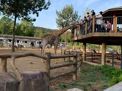 -大连森林动物园