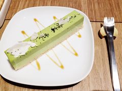 -柴务处·柴犬主题狗咖