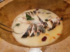 -滇小鱼·云南野生菌火锅(上杭路店)