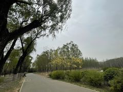 -东郊湿地公园