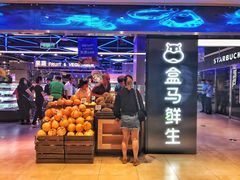 -盒马鲜生(大成店)